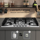 30 Inch Built In Gas Cooktop, thermomate Gas Range top with 5 High Efficiency SABAF Burners, 304 Stainless Steel Gas Stove with Flame Out Protection, NG/LPG Convertible