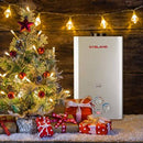 Outdoor Portable Tankless Water Heater- 2.64GPM 10L - Silver